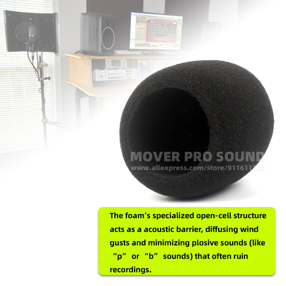 SnapVox Compatible With ZOOM H - Recording Pop Filter 评论和价格