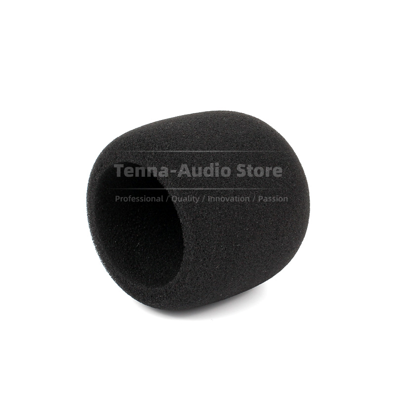 Replacement For SONY PCM D10 P - Recording Pop Filter 评论和价格