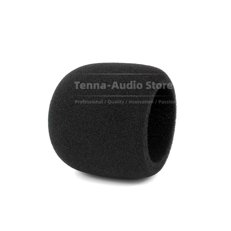 Replacement For SONY PCM D10 P - Recording Pop Filter 评论和价格