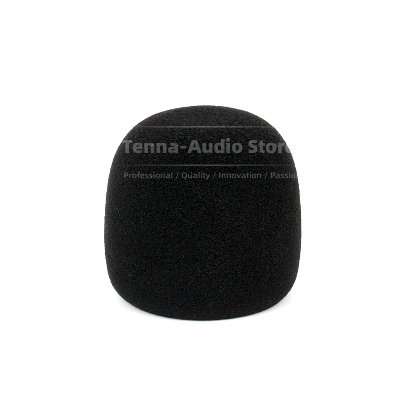 Replacement For SONY PCM D10 P - Recording Pop Filter 评论和价格