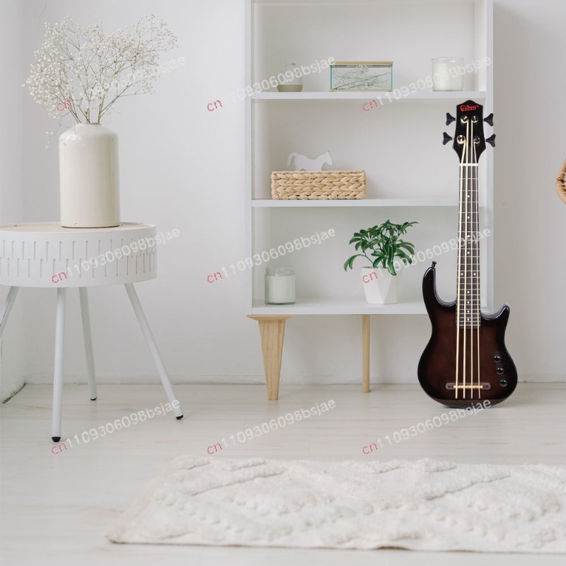 Black Bass Electric Guitar Map - Bass Guitar Strings 评论和价格
