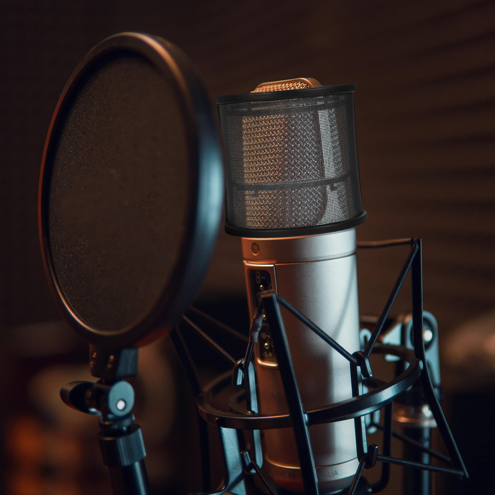 Handheld Microphone Windscreen - Recording Pop Filter 评论和价格