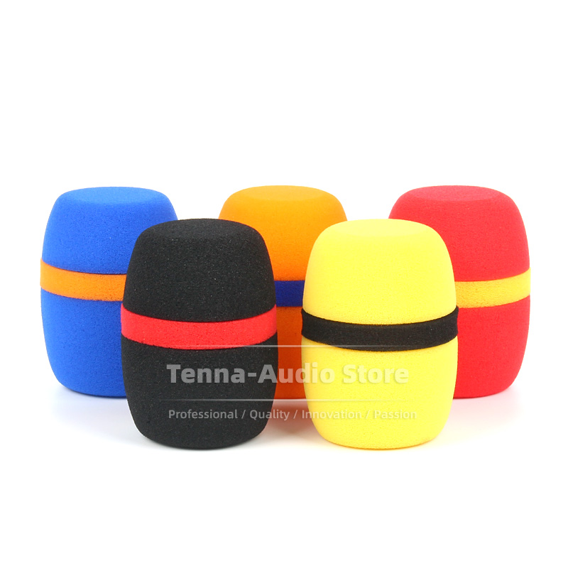 2PCS/LOT For Blue Raspberry RA - Recording Pop Filter 评论和价格